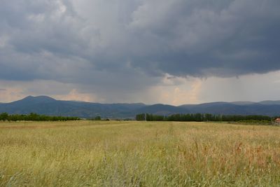 Scenic view of field against sky