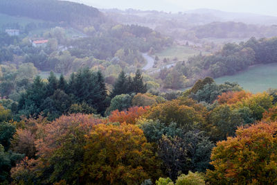 High angle view of trees and mountains