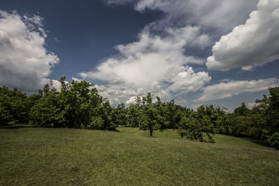 Scenic view of landscape against cloudy sky