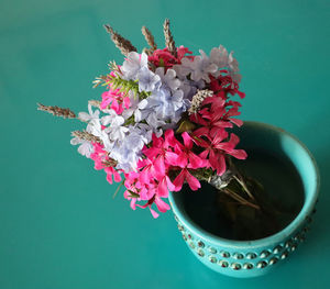 Close-up of pink flowers in vase