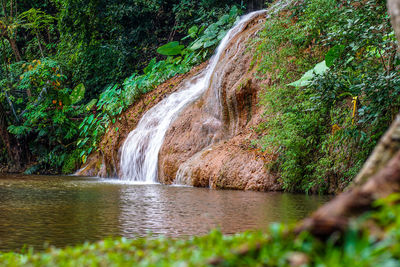 Scenic view of waterfall in forest