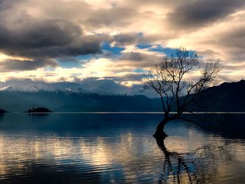 Silhouette tree by lake against sky during sunset