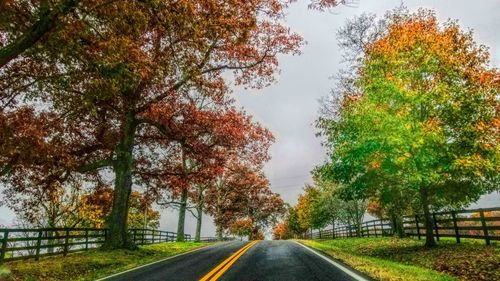 Road amidst trees during autumn