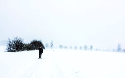 Trees on snow against clear sky