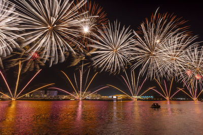 Low angle view of firework display at night