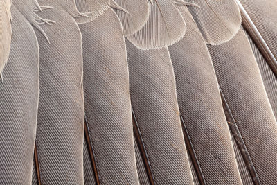 Full frame shot of carpet