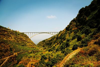 Bridge amidst trees against sky during autumn