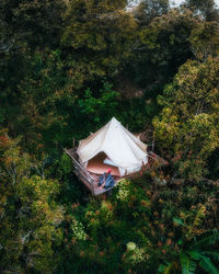 High angle view of tent on field in forest