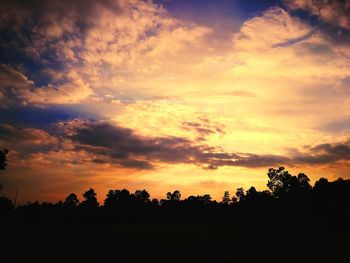 Silhouette trees against sky during sunset