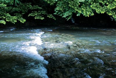 Stream flowing through rocks in forest