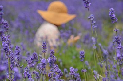 Woman with straw hat sitting in lavender field