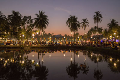 Reflection of palm trees in swimming pool at night