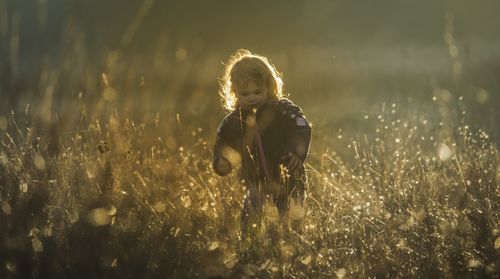 Child playing in early morning sunshine.  exploring the natural world