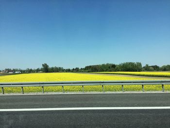 Empty road against clear sky