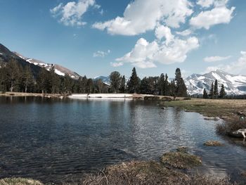 Scenic view of lake by trees against sky