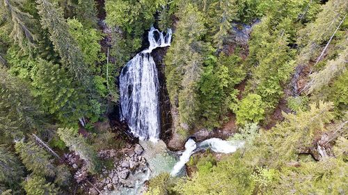 High angle view of waterfall amidst trees in forest