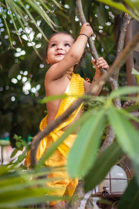 Adorable infant dressed as hindu god krishna cute facial expression playing at tree at janmashtami