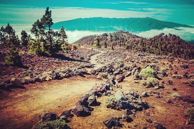 Scenic view of landscape against sky