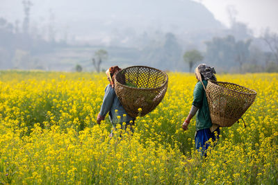 agriculture