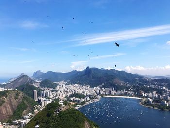 Flock of birds flying over cityscape against sky