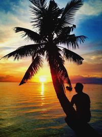 Silhouette of palm trees at sunset