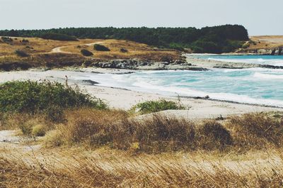 Scenic view of river against sky