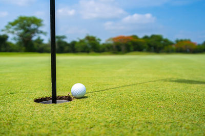 Golf ball on grass