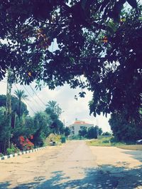 Road amidst trees against sky