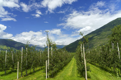 Panoramic view of landscape against sky