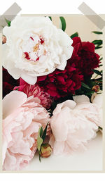High angle view of rose bouquet