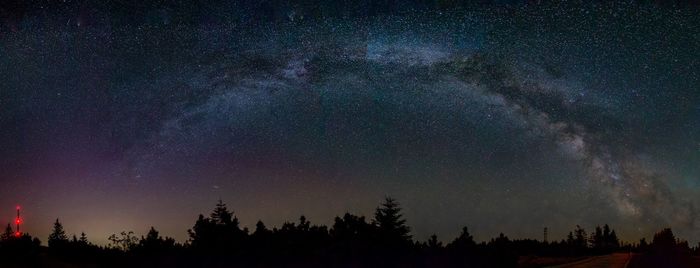 Low angle view of silhouette trees against sky at night