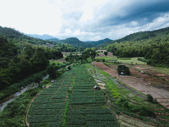 High angle view of agricultural field against sky