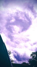 Low angle view of tree against sky