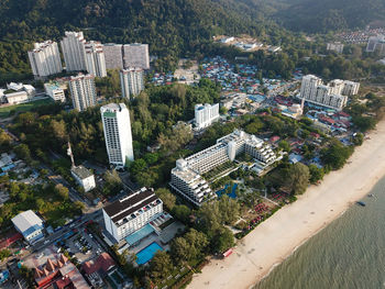 High angle view of buildings and trees in city