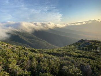 Scenic view of landscape against sky