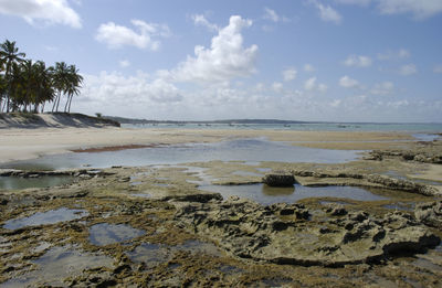 Scenic view of beach against sky