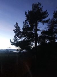 Silhouette trees in forest against sky