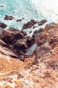 High angle view of rocks on shore