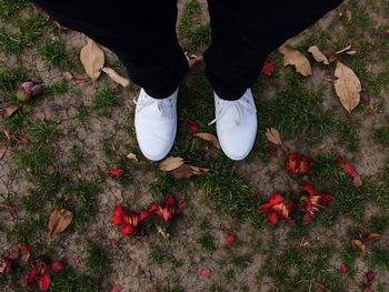 Low section of man standing on autumn leaves