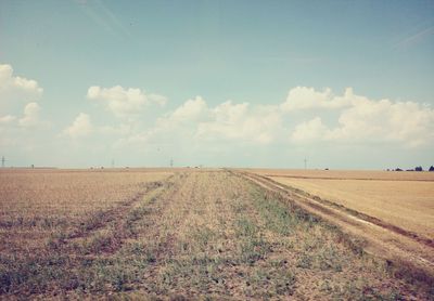 Scenic view of agricultural field against sky