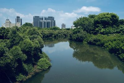 Reflection of trees in lake against sky in city