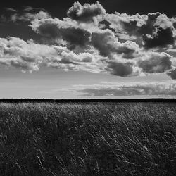 Scenic view of field against cloudy sky