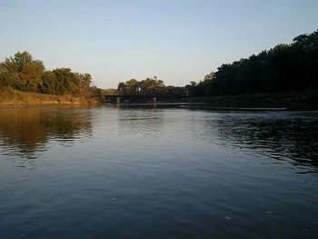 Reflection of trees in water