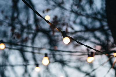 Low angle view of illuminated light bulbs against tree during christmas