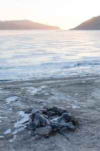 Scenic view of sea against sky during sunset in winter