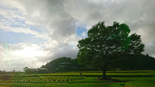 Scenic view of field against cloudy sky