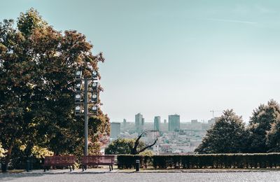 Trees and buildings in city against clear sky