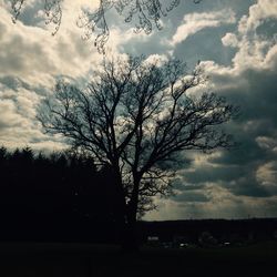 Silhouette bare tree on field against sky