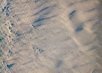 High angle view of footprints on sand