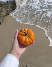 Cropped hands of woman holding pumpkin at beach